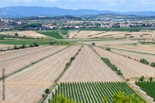 View over Oppidum D'Enserune in France