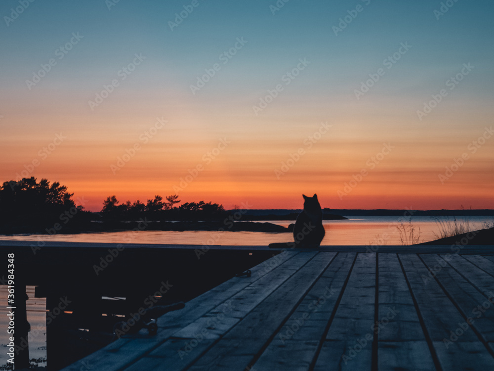 Cat on a jetty at sunset