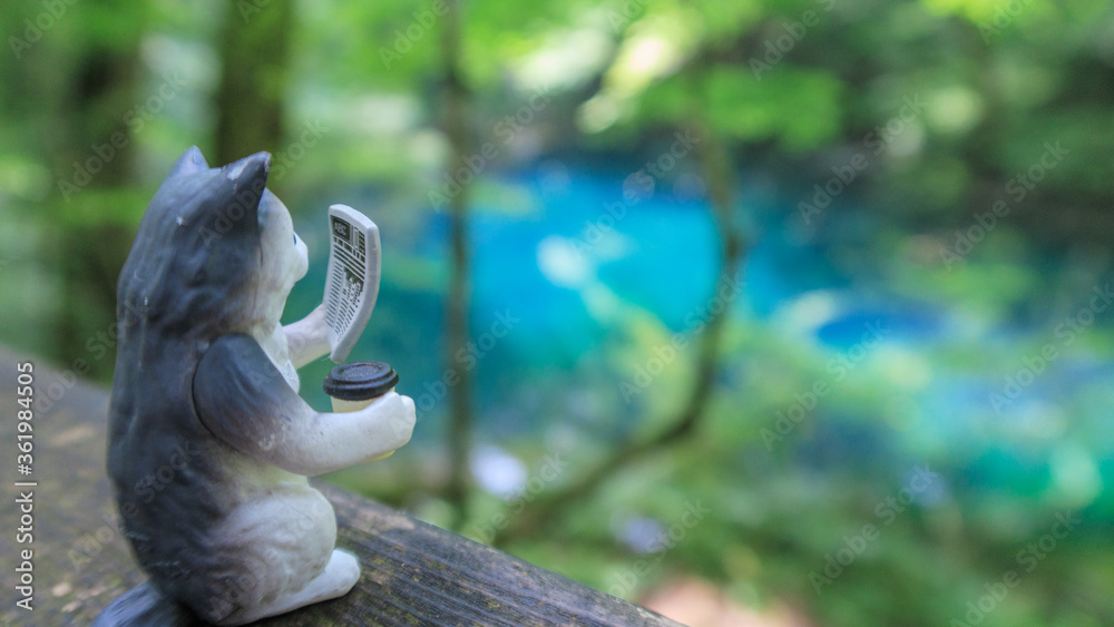 Obraz premium Blue pond, Aoike, Shirakami-Sanchi, world Heritage, Aomori, Japan