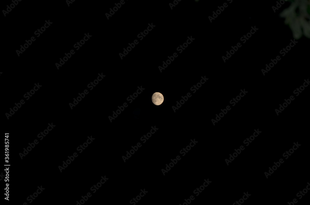 crescent moon against the night sky
crescent moon against the night sky
