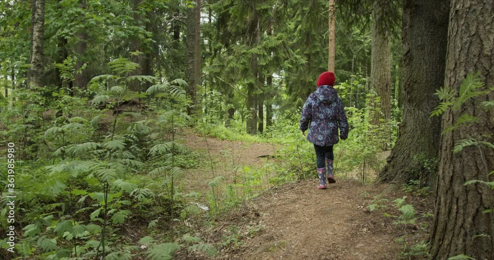 Back view of little girl on red hat walking on pines forest path Back view of little girl on red hat walking on pines forest path