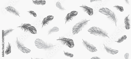 Feathers on white background. Hand drawn sketch style. Vector. 