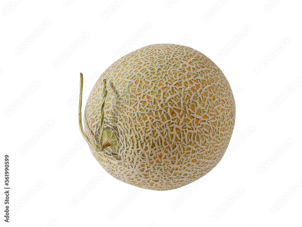 Cantaloupe melon isolated on white background Cantaloupe melon isolated on white background