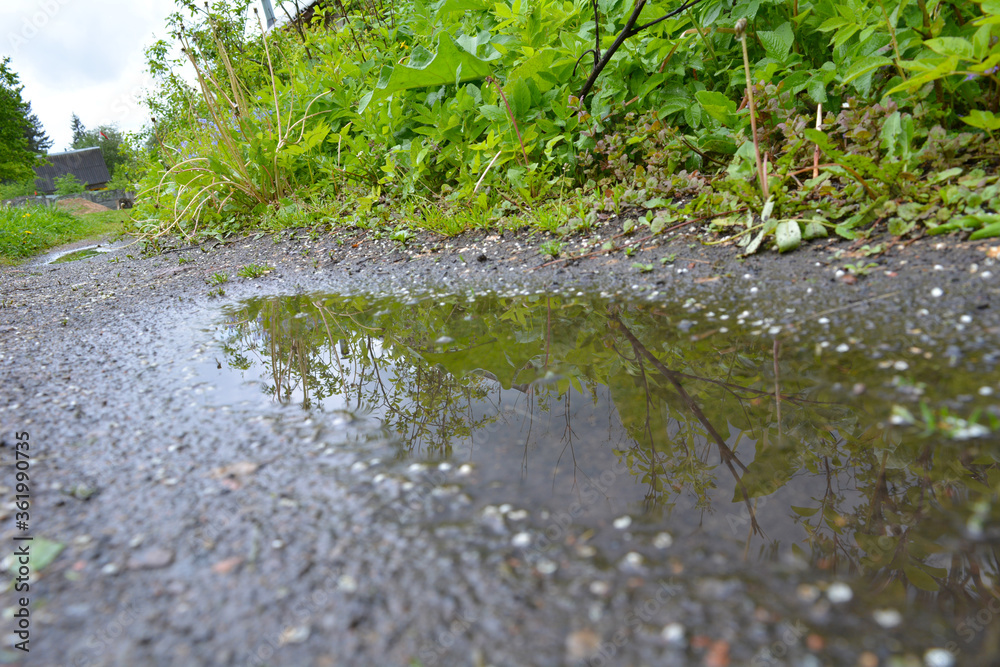 Fototapeta premium rain on the road