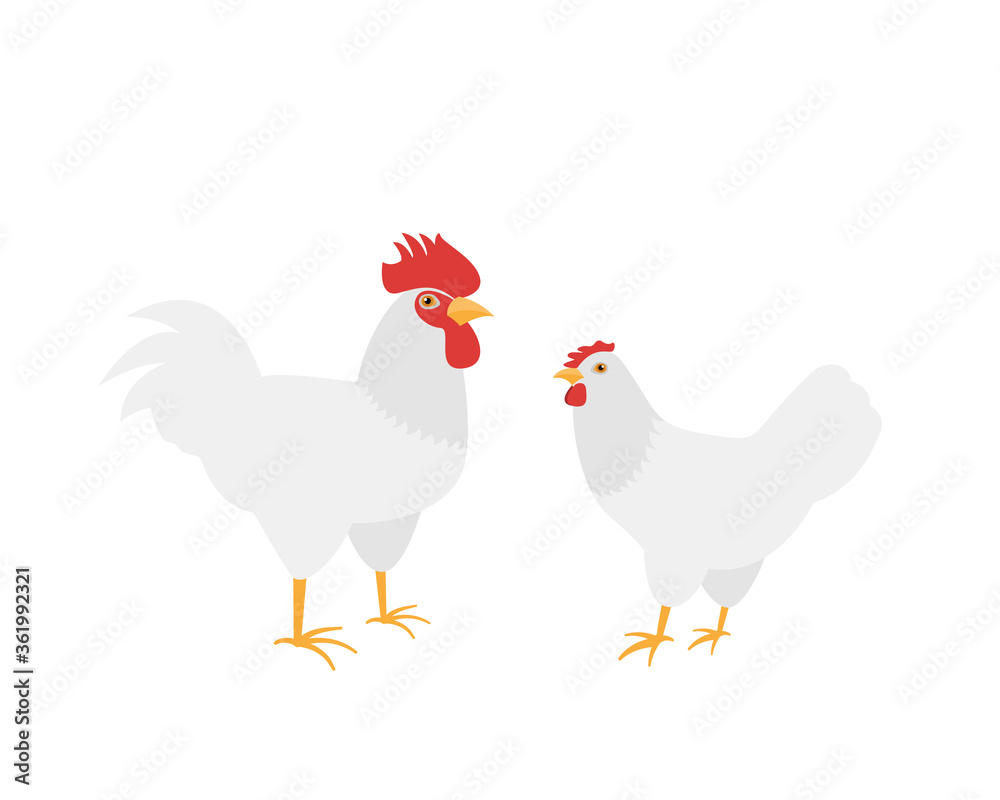 Homemade farm Cock and hen breed Leghorn. Flat vector illustration on white background Homemade farm Cock and hen breed Leghorn. Flat vector illustration on white background