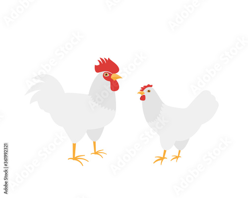 Homemade farm Cock and hen breed Leghorn. Flat vector illustration on white background