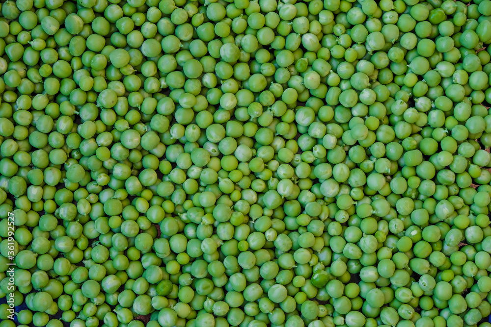 Green fresh peas. Pea surface. Top view. Selective focus. Copy space. Green fresh peas. Pea surface. Top view. Selective focus. Copy space.