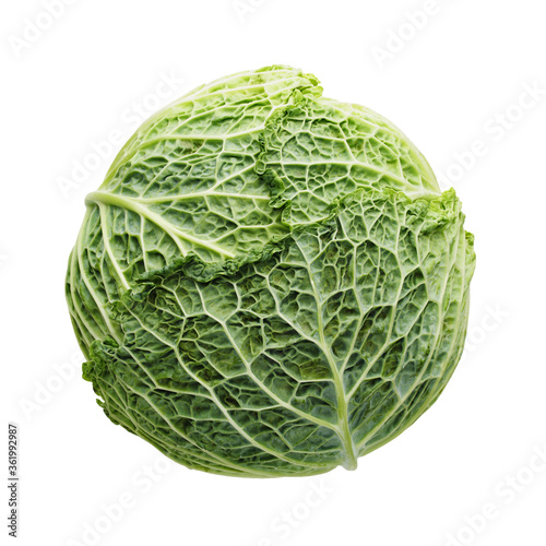 Green cabbage isolated