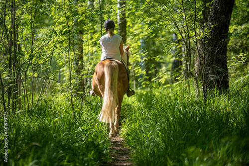 Woman horseback riding in forest © citikka