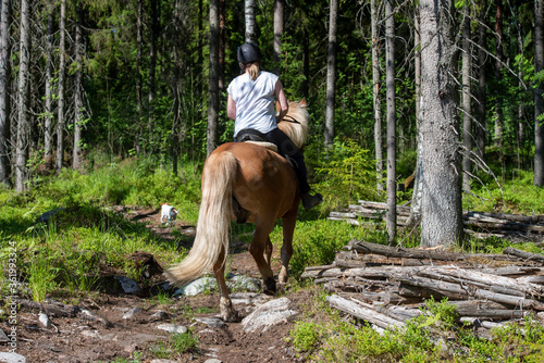 Woman horseback riding in forest © citikka