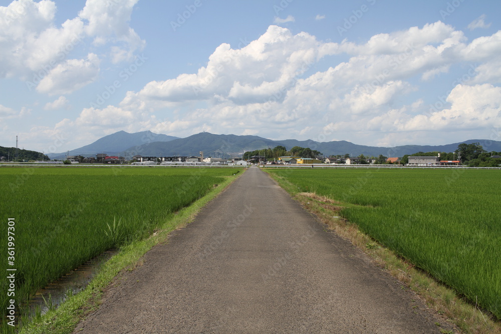 Japanese Countryside with Agriculture Road and Mt. Tsukuba