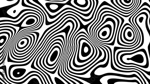 Abstract wave of white and black curved lines. Hallucination. Optical illusion. Twisted illustration. Futuristic background of lines. Dynamic wave. Vector.