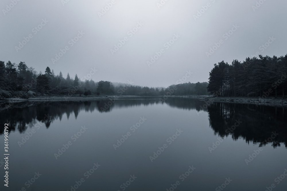 Perfect reflections of woodland forest in a lake