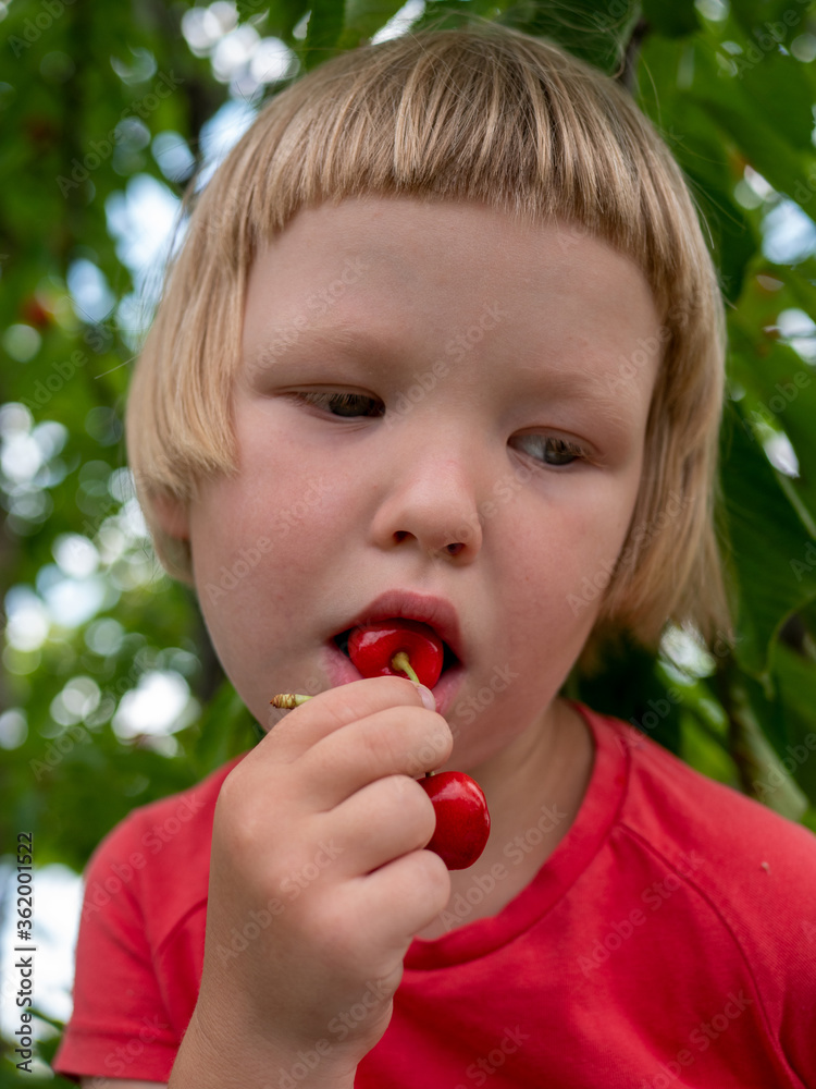 Funny blond boy in red T-shirt sits on stairs under tree and holds cherries. Kid eating berries Funny blond boy in red T-shirt sits on stairs under tree and holds cherries. Kid eating berries