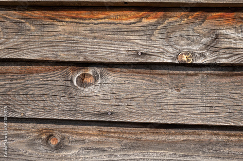 Wallpaper in the form of a wooden wall on the house. The wall is made next to the piles of pine wood. Copy Space. Wooden. Sun.