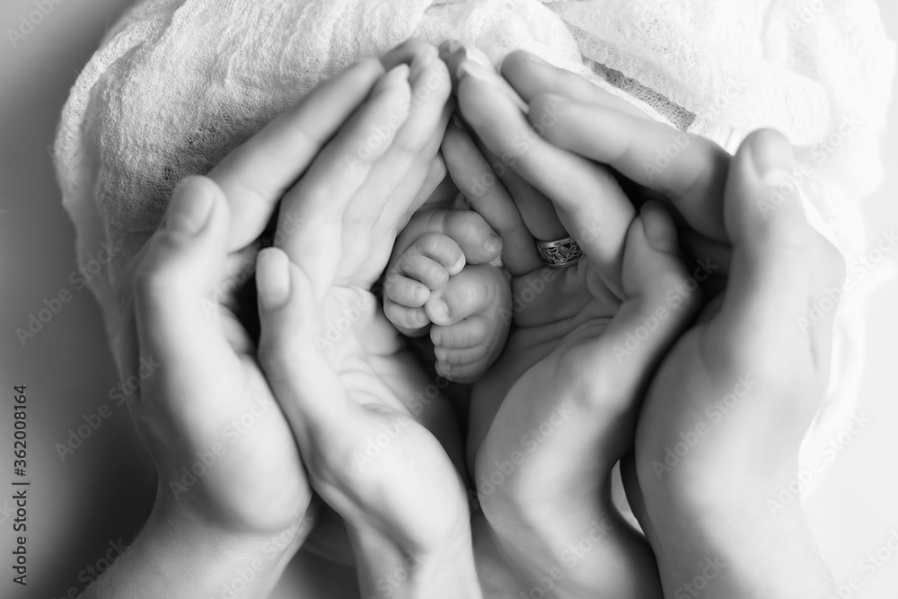 hands of parents. the legs of the newborn in the hands of mom and dad. baby's legs in his hands. black and white pictures of hands hands of parents. the legs of the newborn in the hands of mom and dad. baby's legs in his hands. black and white pictures of hands