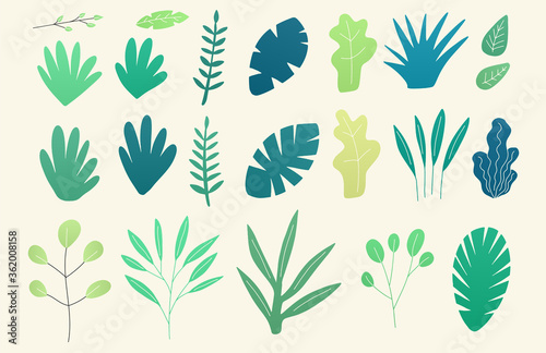 Vector set of flat illustrations of plants, trees, leaves, branches, bushes and floral icons. Flat cartoon vector illustration