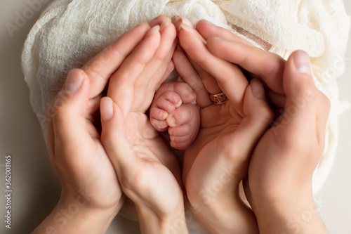 the legs of the child in the arms of the mother and the father, the legs of a newborn baby