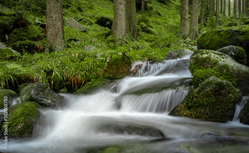Waterfall in the forest © Sidorov Cătălin