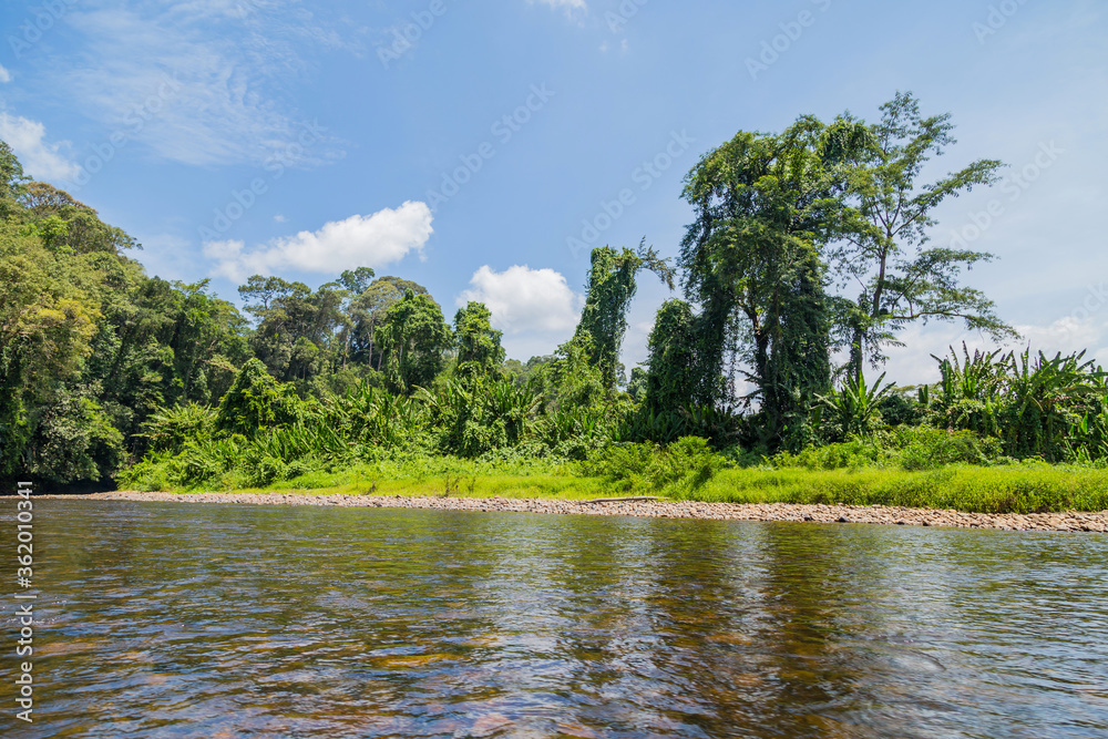Ulu Temburong National Park
