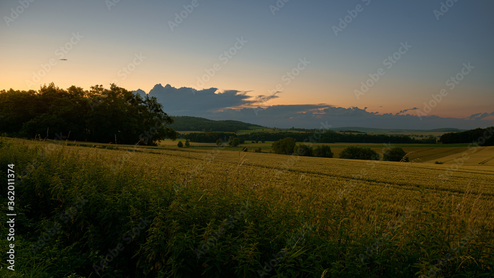 Obraz premium sunset over the field
