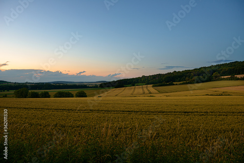 sunset over field © Tomasz