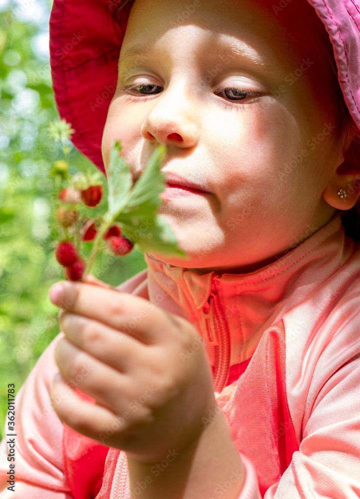 Caucasian girl picking wild strawberries. The baby is smiling. Summer day Caucasian girl picking wild strawberries. The baby is smiling. Summer day
