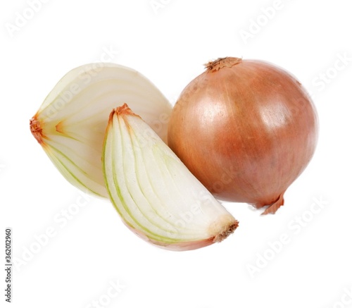 onion  Allium cepa   isolated on a white background