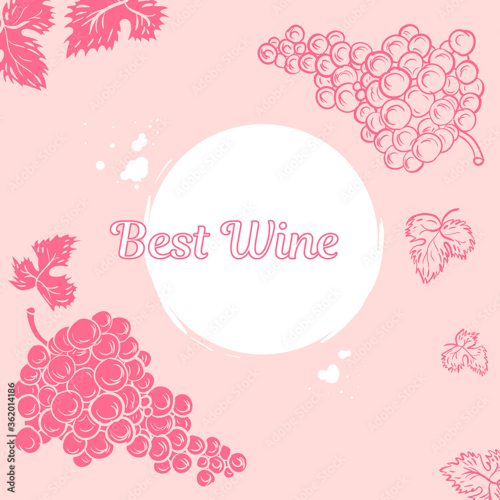 Set of grapes isolated Hand drawn on pink and white background. Sutable for menus. recipes and postcards design. Vector illustration. Set of grapes isolated Hand drawn on pink and white background. Sutable for menus. recipes and postcards design. Vector illustration.