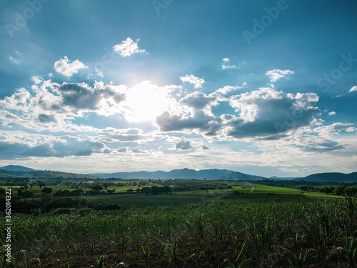 sunset in cornfields