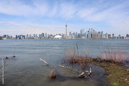 Obraz na płótnie Toronto, Ontario, Canada w salonie