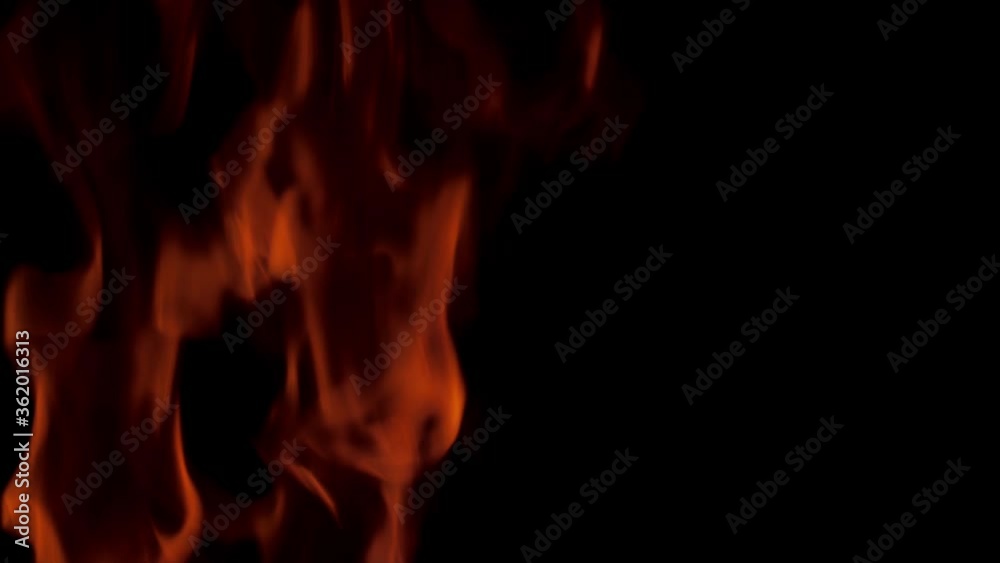Real fire flames isolated on black background. Bonfire from the grass. Fire for making effects.
