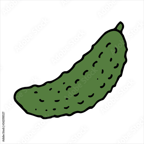 vector illustration in doodle style, cartoon. cucumber. simple green cucumber icon. clip art vegetable, food product