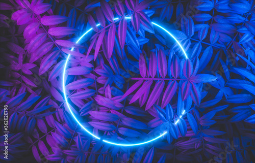 Fototapeta Naklejka Na Ścianę i Meble -  Abstract neon frame backdrop with tropical leaves background. 3d render.