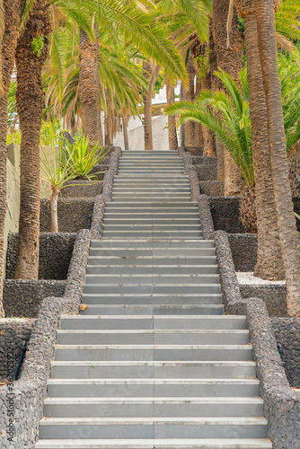Stone staircase surrounded with palm trees on the street of Puerto de la Cruz, Tenerife, Canary islands, Spain © garrykillian