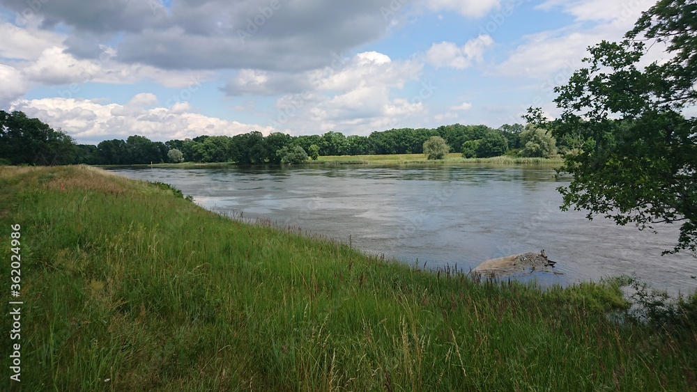 Rzeka Odra. Polska.