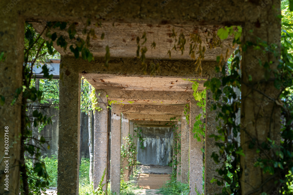 the lower part of the concrete bridge across the underground garden