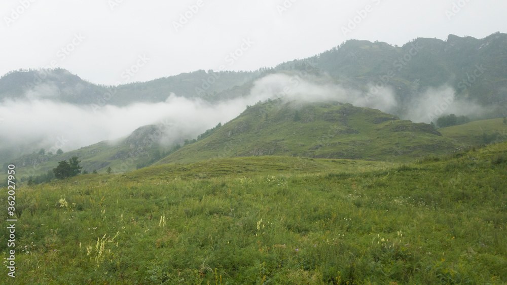 Blurred frame. Selective focus. Low clouds in the mountains against the background of green hills. Juicy grass in cloudy weather. High mountain