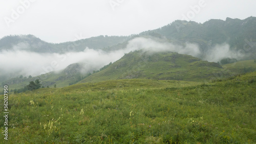 Obraz na płótnie Blurred frame. Selective focus. Low clouds in the mountains against the background of green hills. Juicy grass in cloudy weather. High mountain w salonie