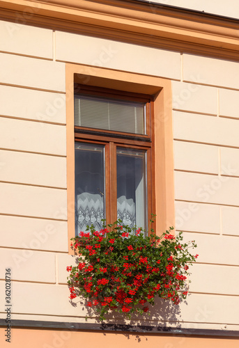 Window with flowers. Cesky Krumlov, Czech republic