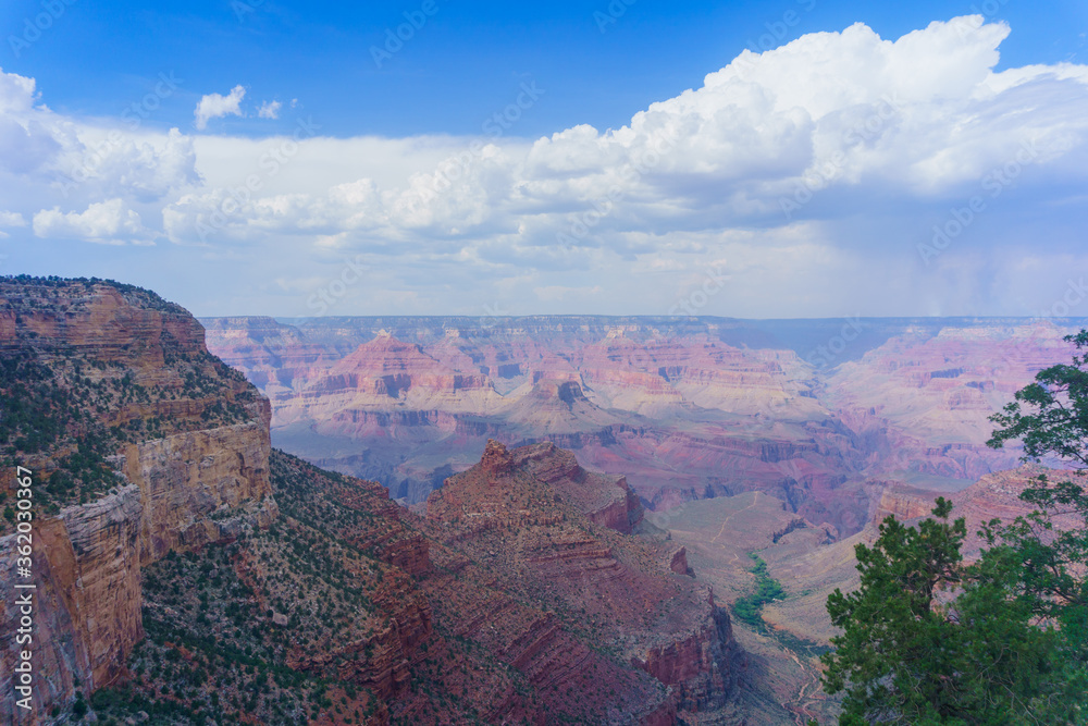 south edge of Grand Canyon in summer during day time