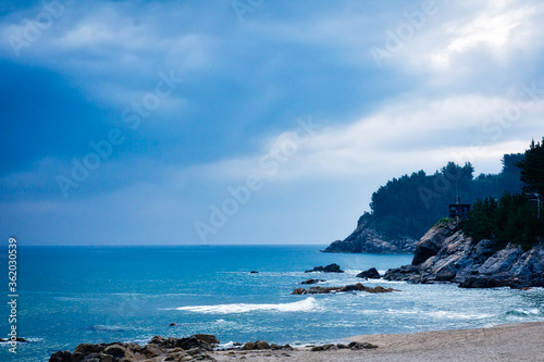 landscape of beach and blue sky © Carl Kim