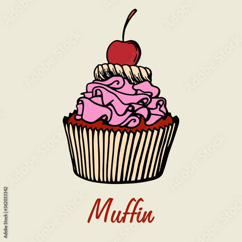 Cupcake collection with different flavors