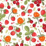 Hand drawn forest berries. Stylized cranberries, strawberries, cloudberries on white background. Vector seamless pattern