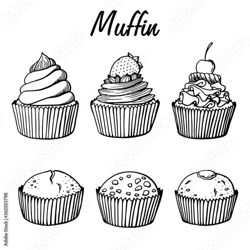 Cupcake collection with different flavors