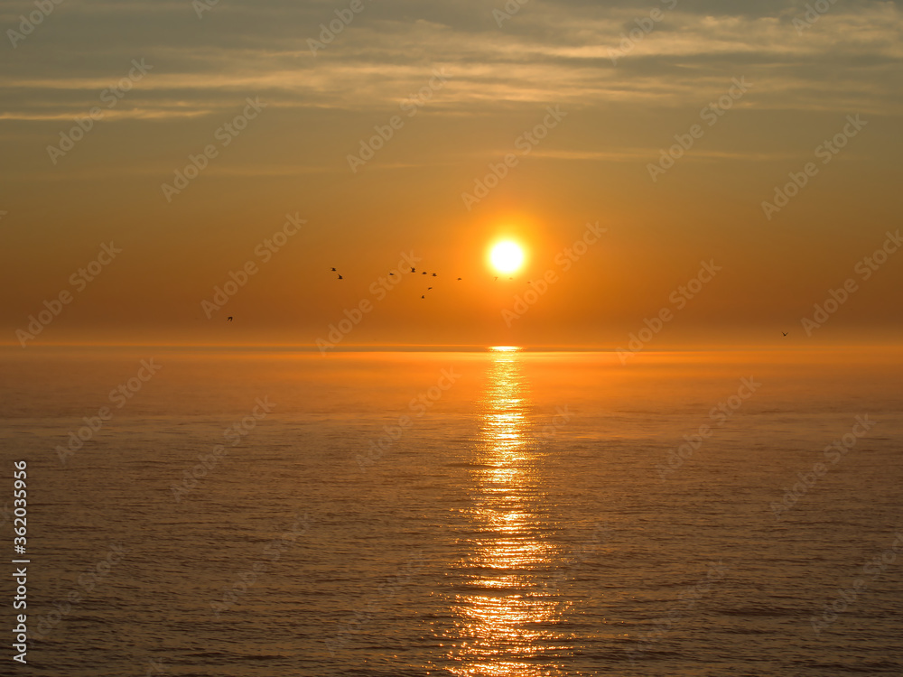 Beautiful yellow sunset and sky reflection whit birds Beautiful yellow sunset and sky reflection whit birds