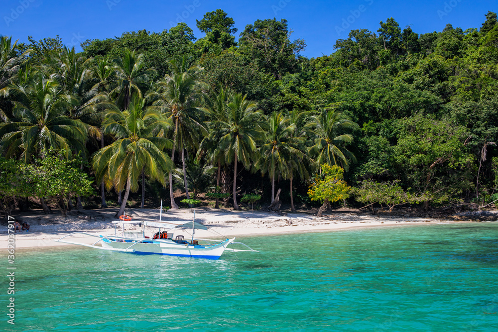 Philippine wooden boat and white beach on sunny day. Tropical island paradise photo. Palm tree jungle forest greenery. Exotic place for summer vacation. South Asia travel. Tourist resort relaxing view