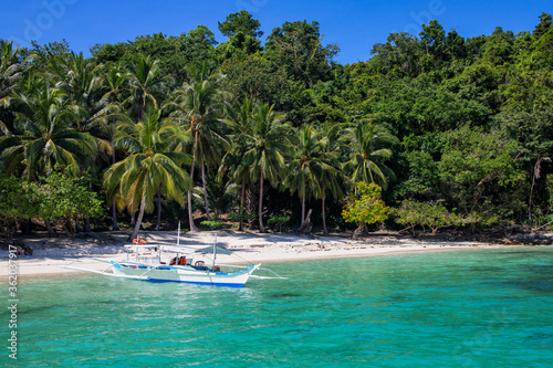 Philippine wooden boat and white beach on sunny day. Tropical island paradise photo. Palm tree jungle forest greenery. Exotic place for summer vacation. South Asia travel. Tourist resort relaxing view