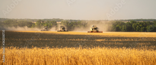 Combine harvesters on the field