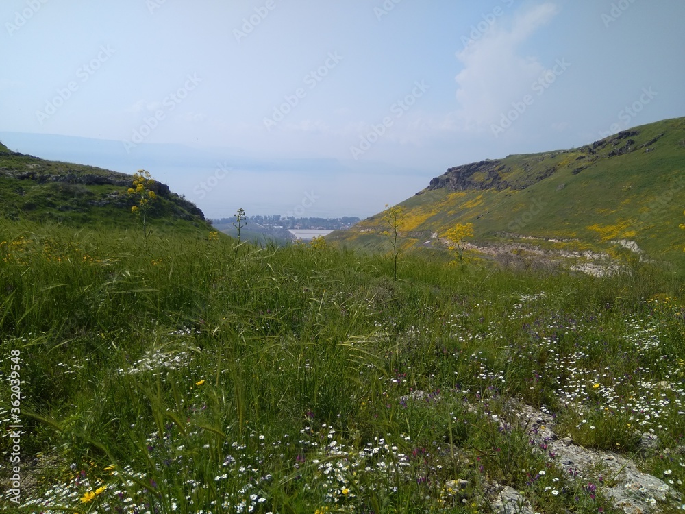 Picturesque hill in the Golan Heights in spring in Israel.